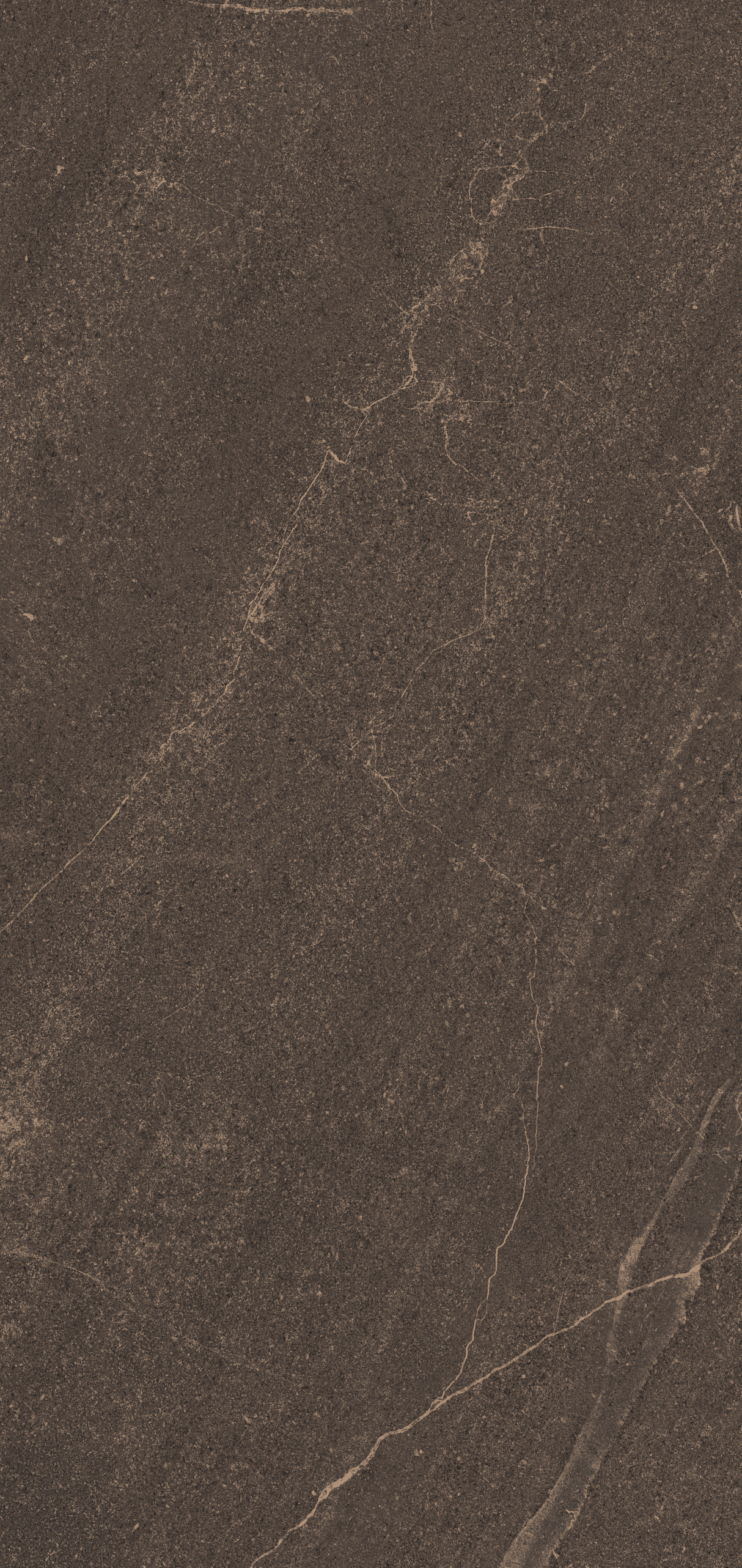 Плитка из керамогранита gb04 80x160x10 непол.рект. (керамический гранит)