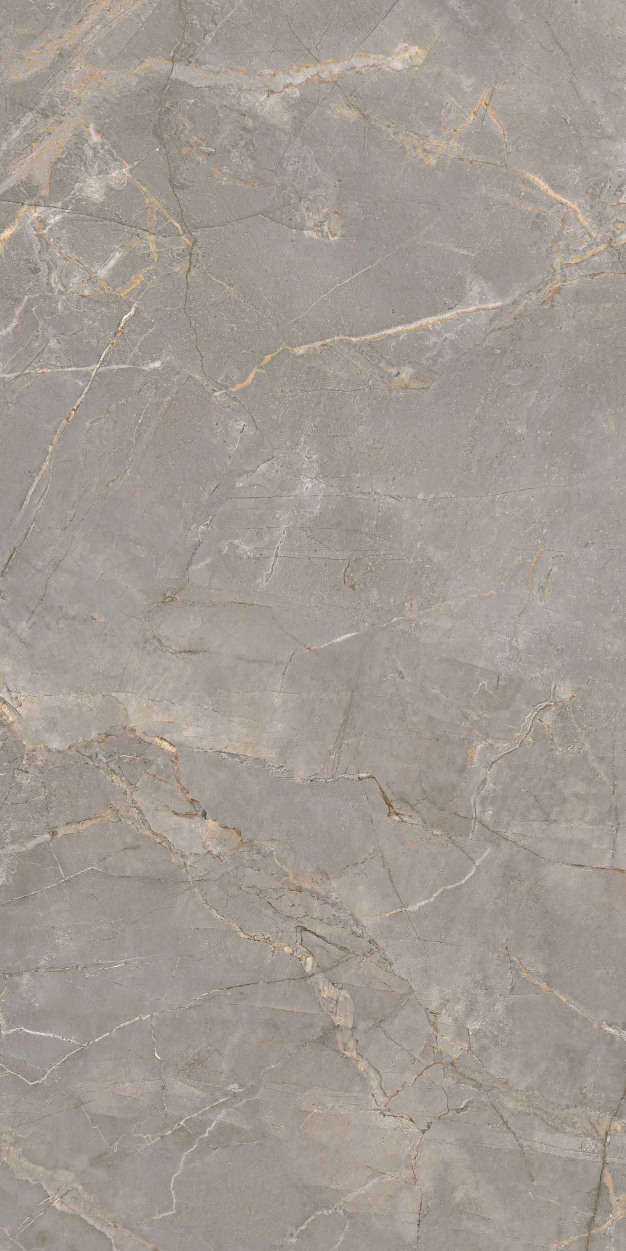 Плитка из керамогранита br03 80x160x10 непол.рект. (керамический гранит)