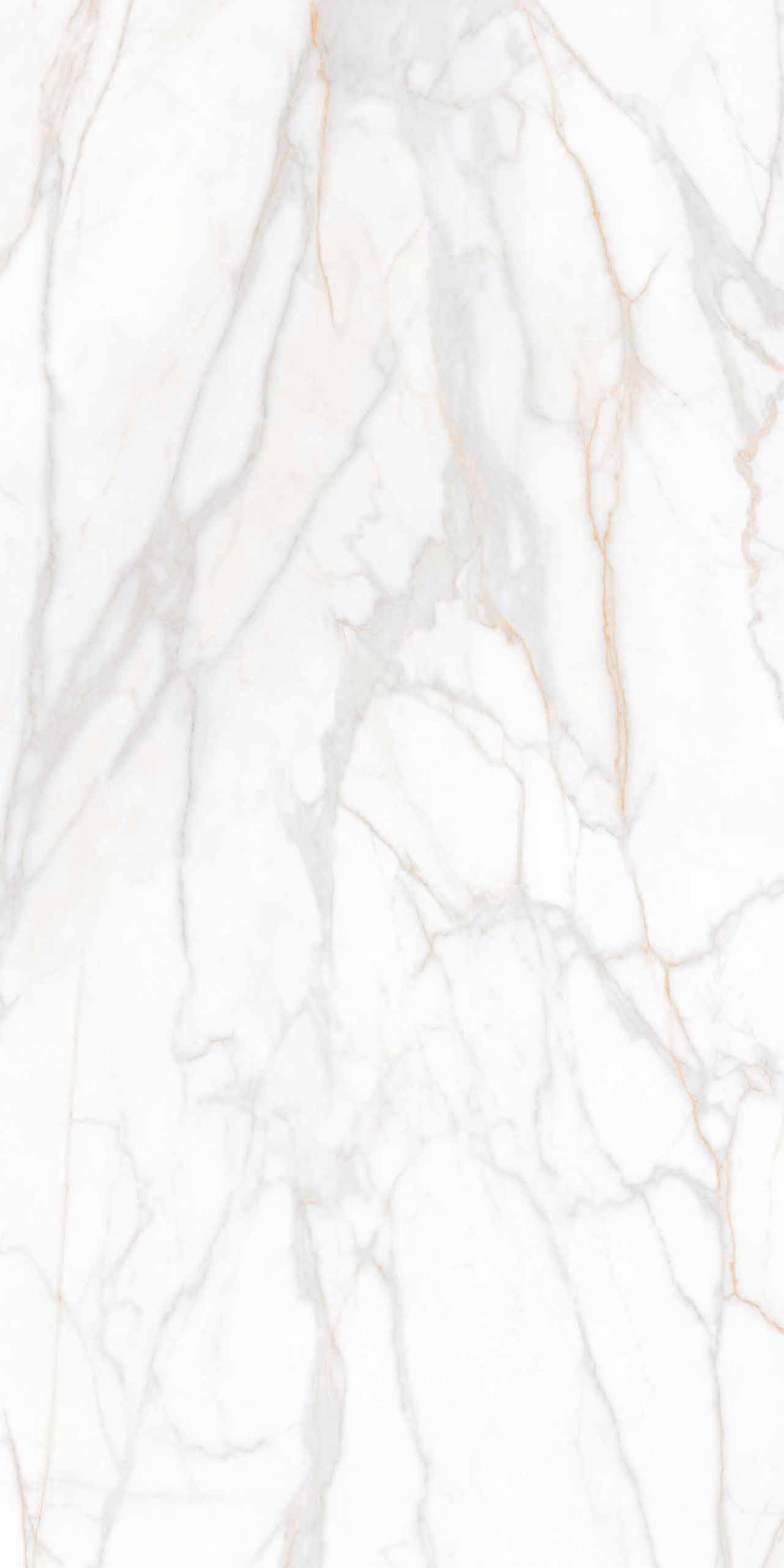 Плитка из керамогранита sm02 80x160x10 непол.рект. (керамический гранит)