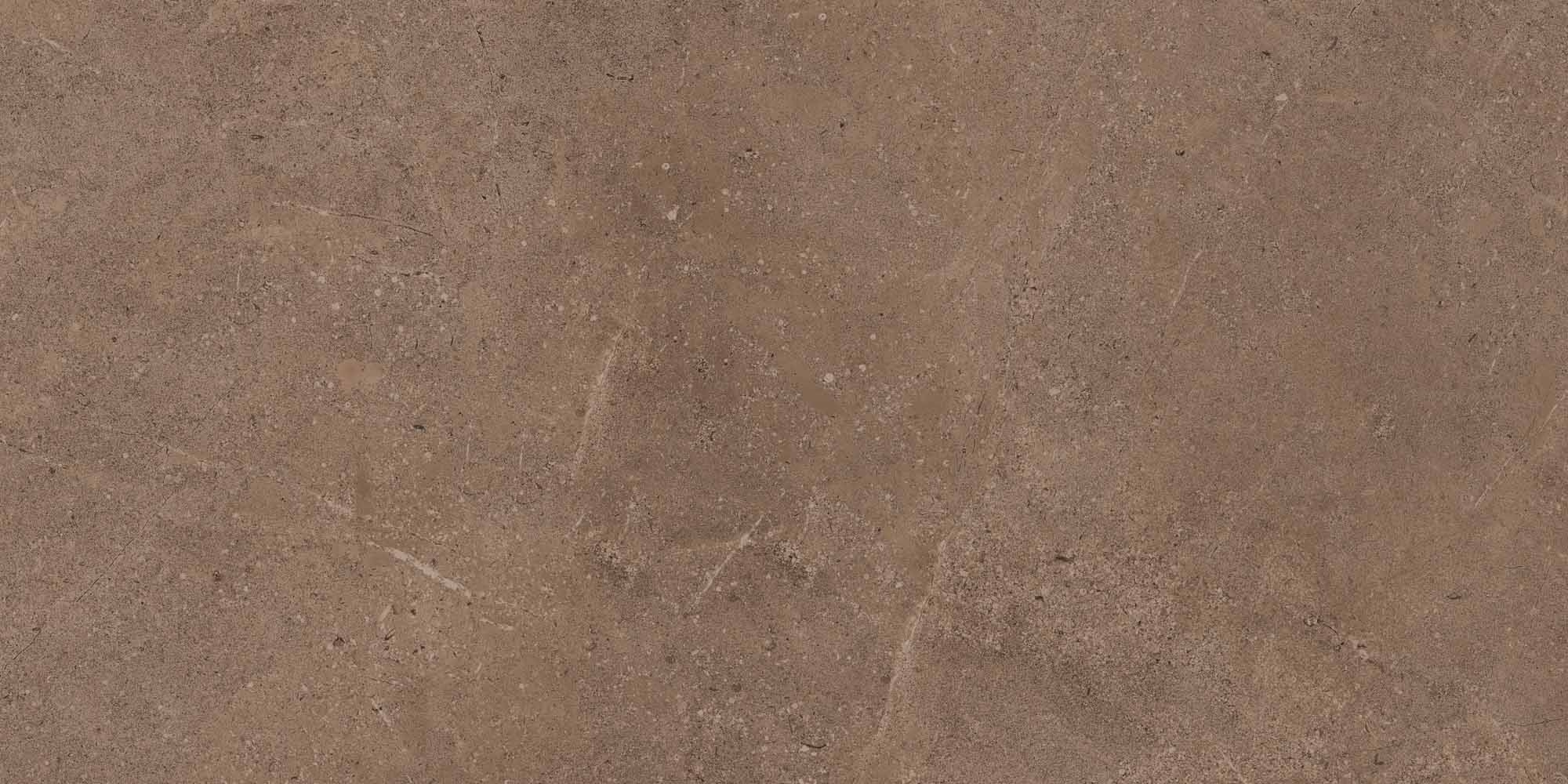 Плитка из керамогранита go02 60x120x10 непол.рект. (керамический гранит)