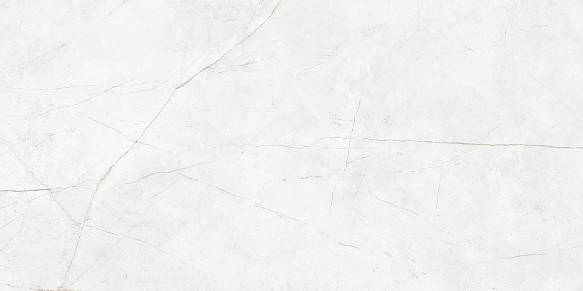 Плитка из керамогранита nl00 60x120x10 непол.рект. (керамический гранит)