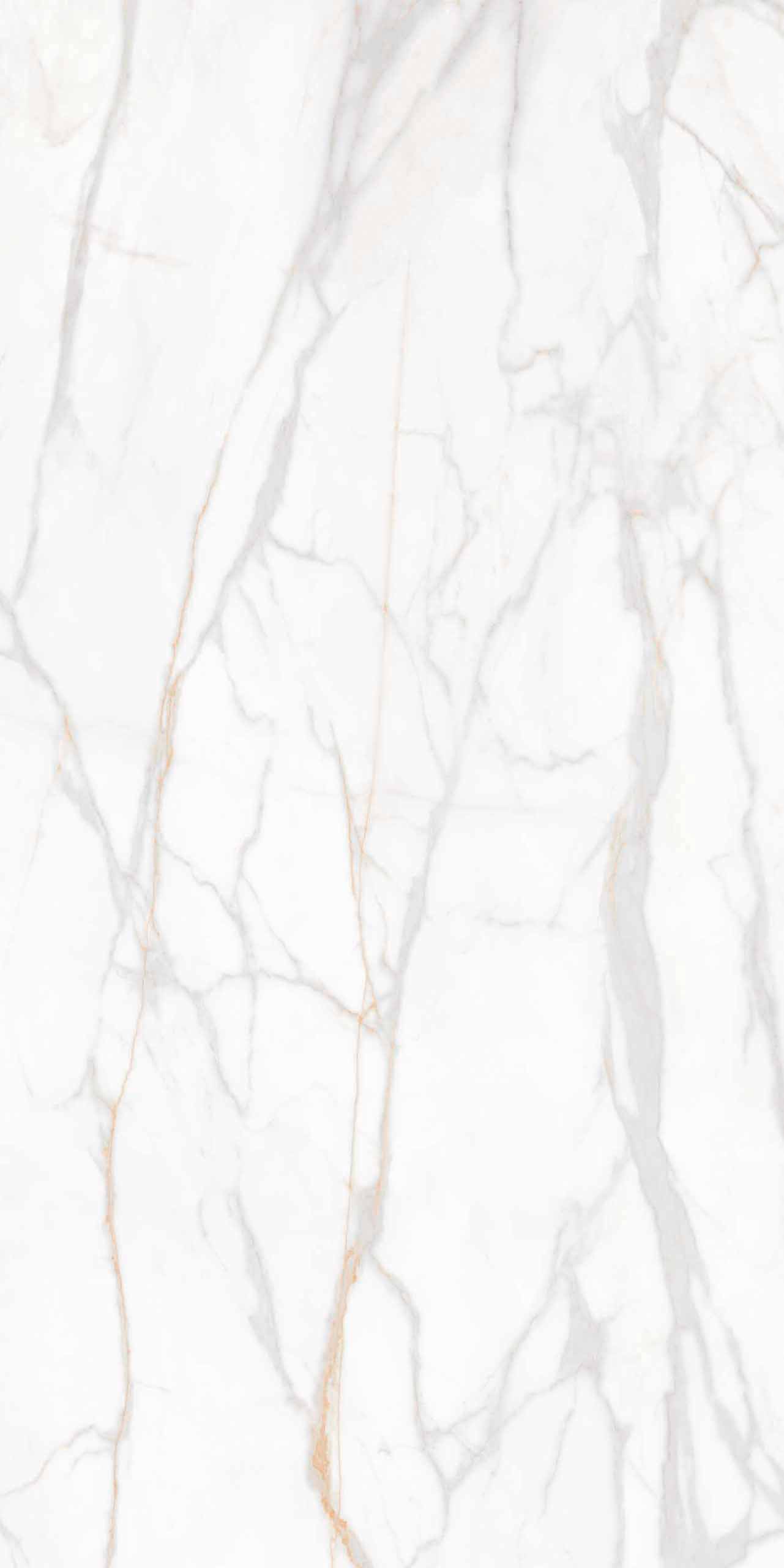 Плитка из керамогранита sm02 80x160x10 непол.рект. (керамический гранит)