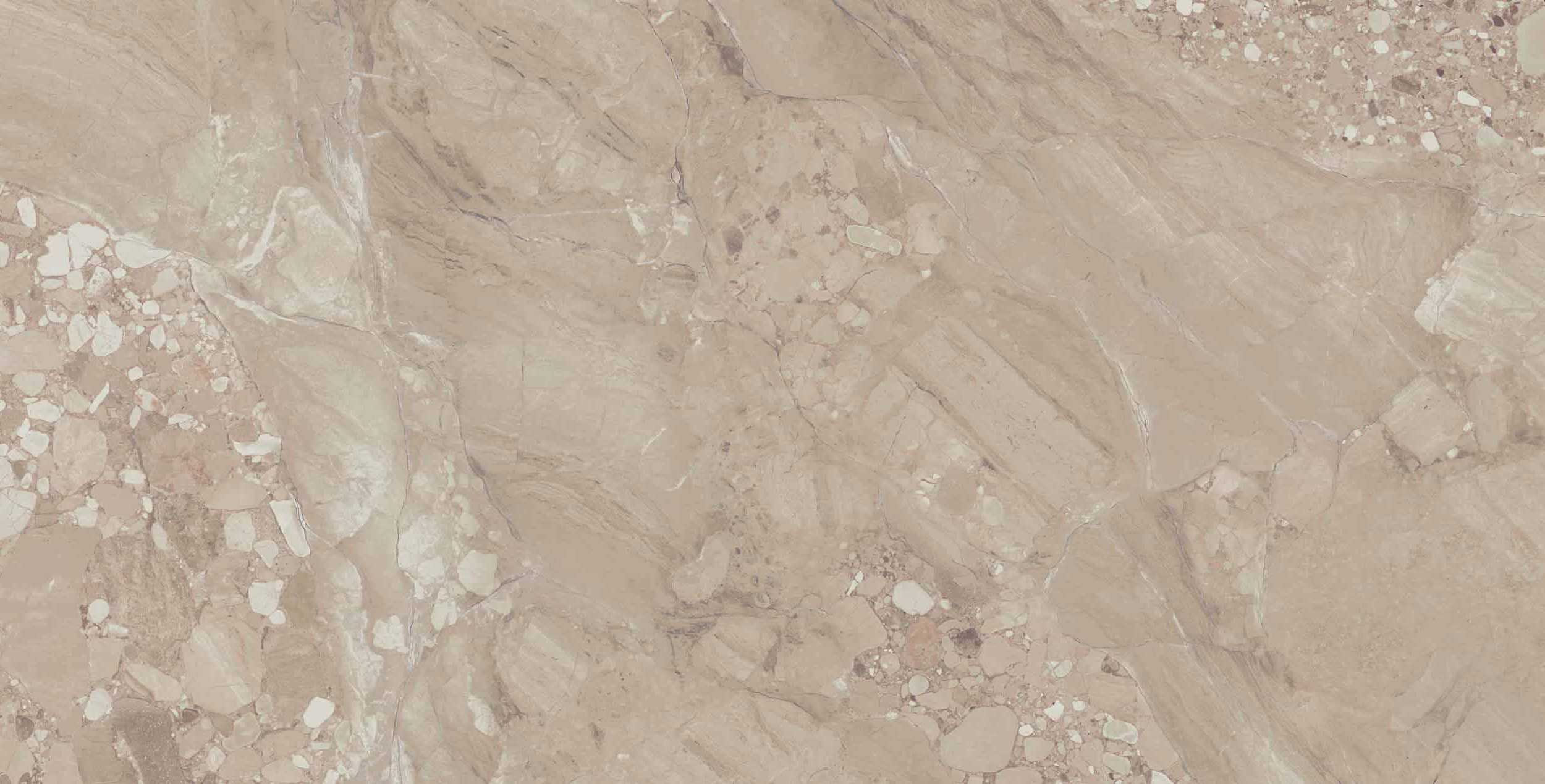 Плитка из керамогранита om02 60x120х10 непол.рект. (керамический гранит)