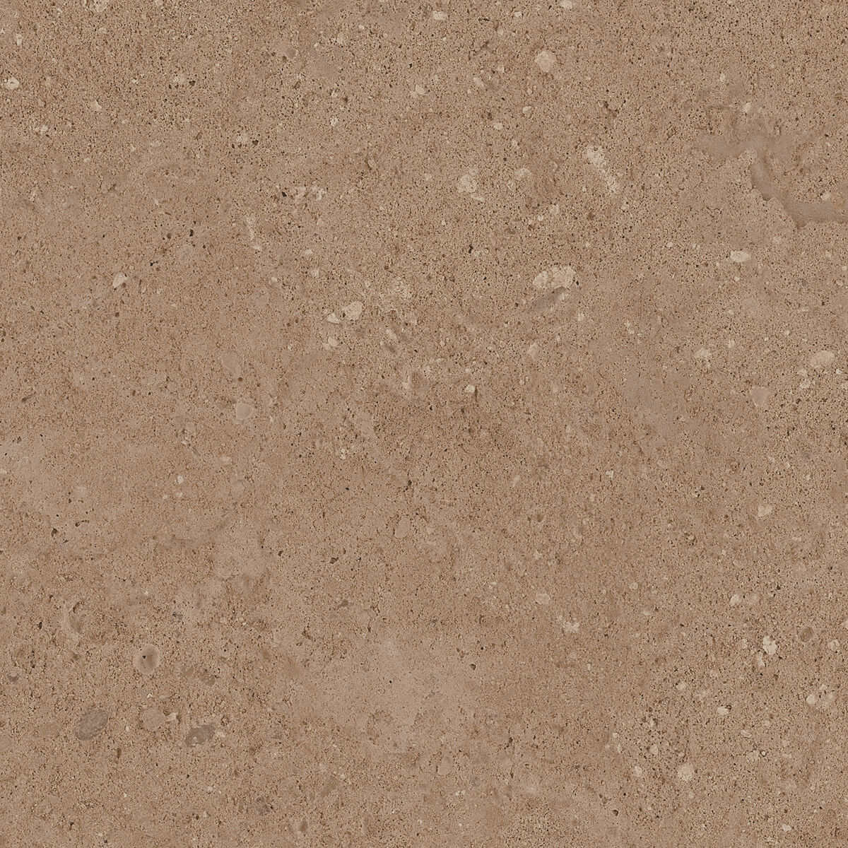 NP03 40,5x40,5x8 Непол. (Керамический гранит) (43,296 м2)