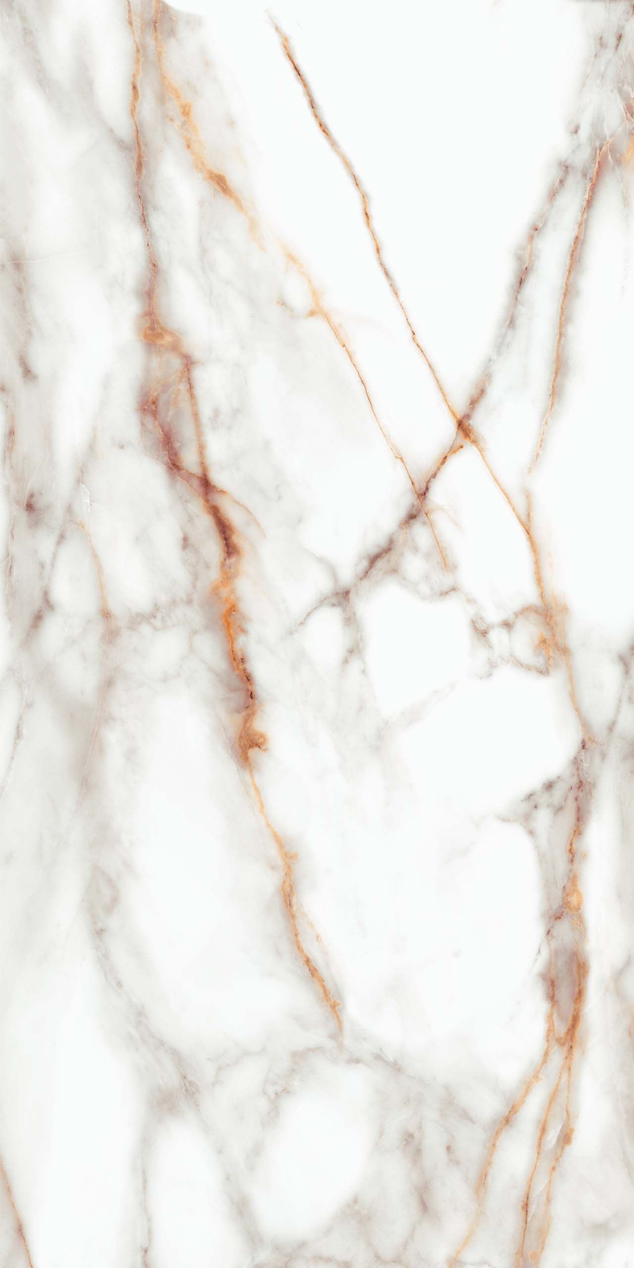 Плитка из керамогранита sm03 80x160x10 непол.рект. (керамический гранит)