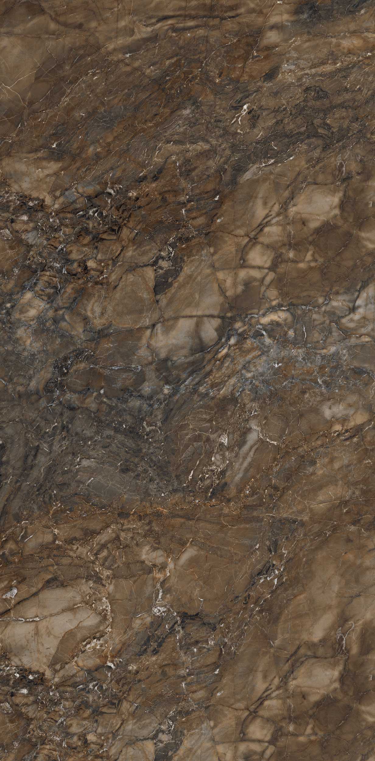 Плитка из керамогранита br04 80x160x10 непол.рект. (керамический гранит)