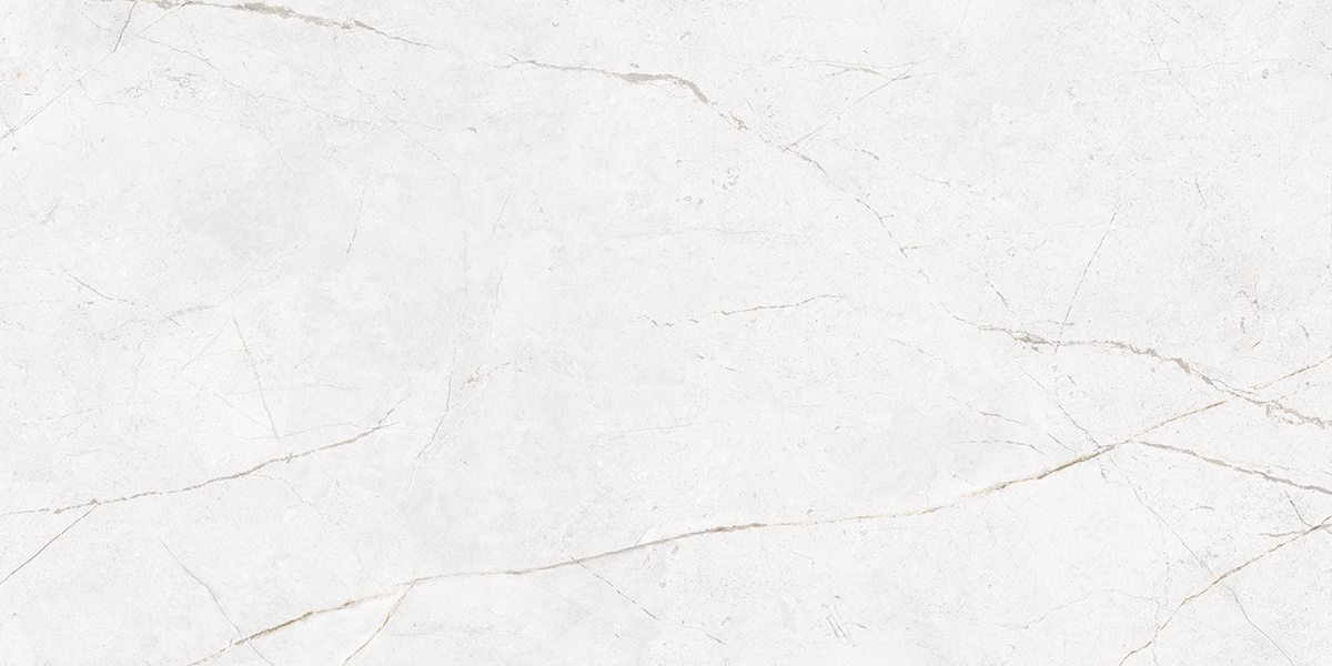 Плитка из керамогранита nl00 60x120x10 непол.рект. (керамический гранит)