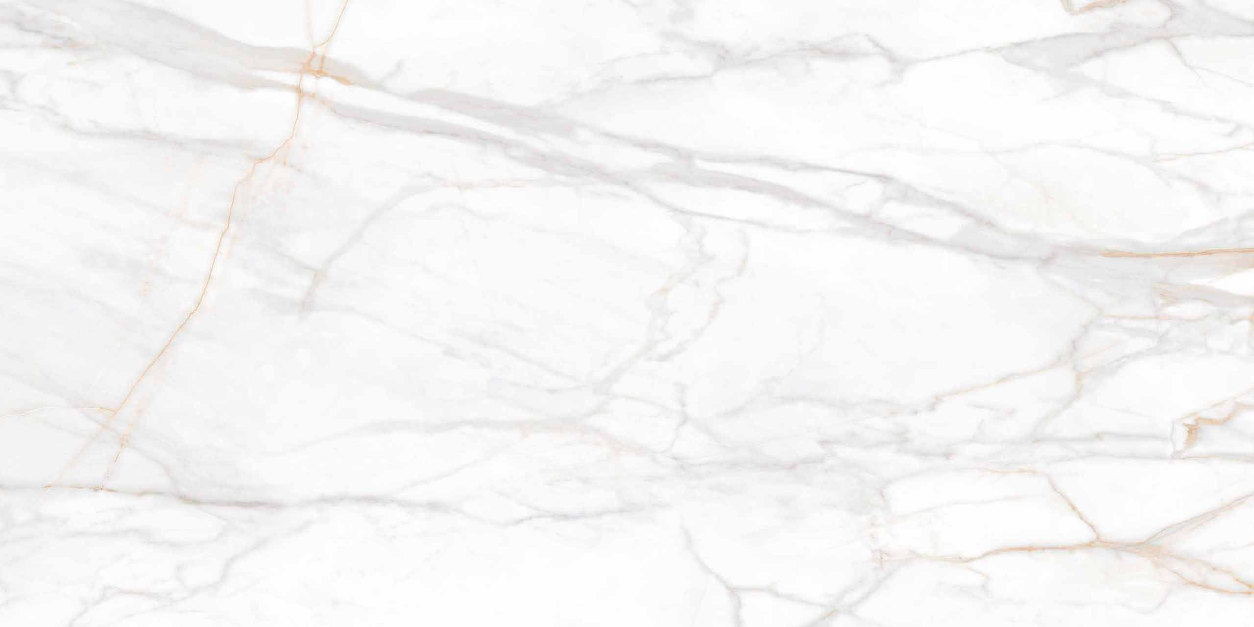 Плитка из керамогранита sm02 80x160x11 непол.рект. (керамический гранит)