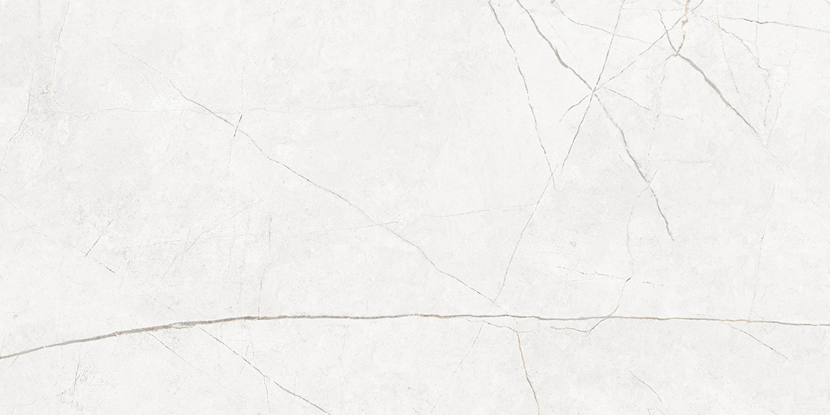 Плитка из керамогранита nl00 60x120x10 непол.рект. (керамический гранит)