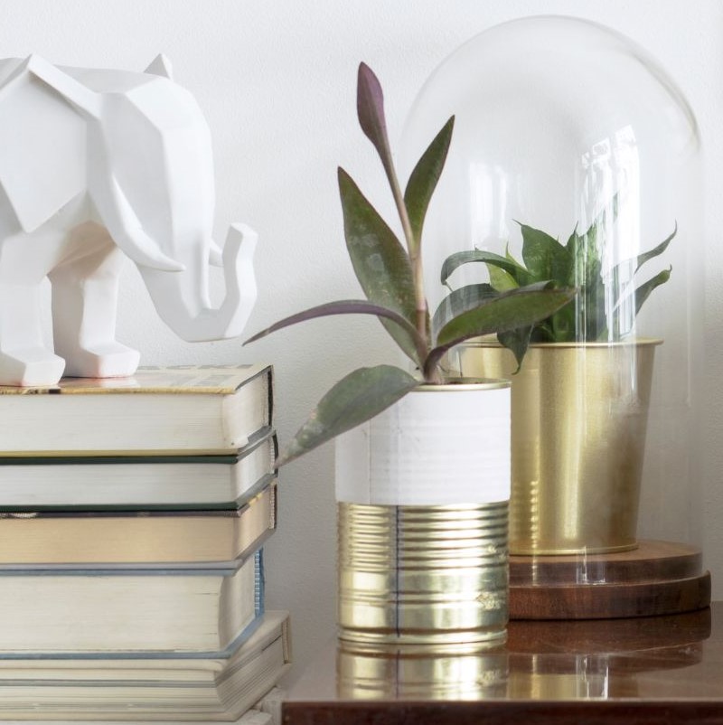 Цветы и растения в интерьере: идеи оформления с живыми акцентами