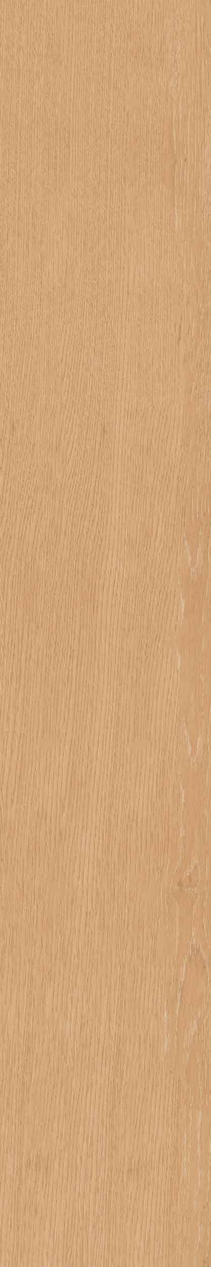 Плитка из керамогранита cw04 19,4х120х9 непол.рект. (керамический гранит)