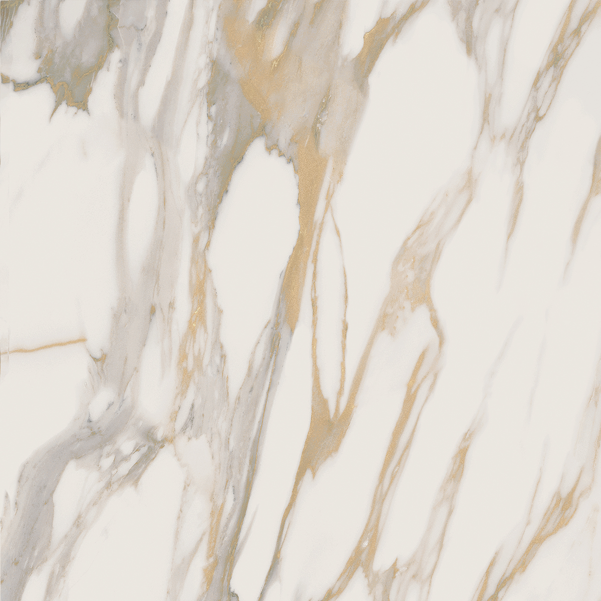 RM01 60x60x10 Полир. (Керамический гранит)