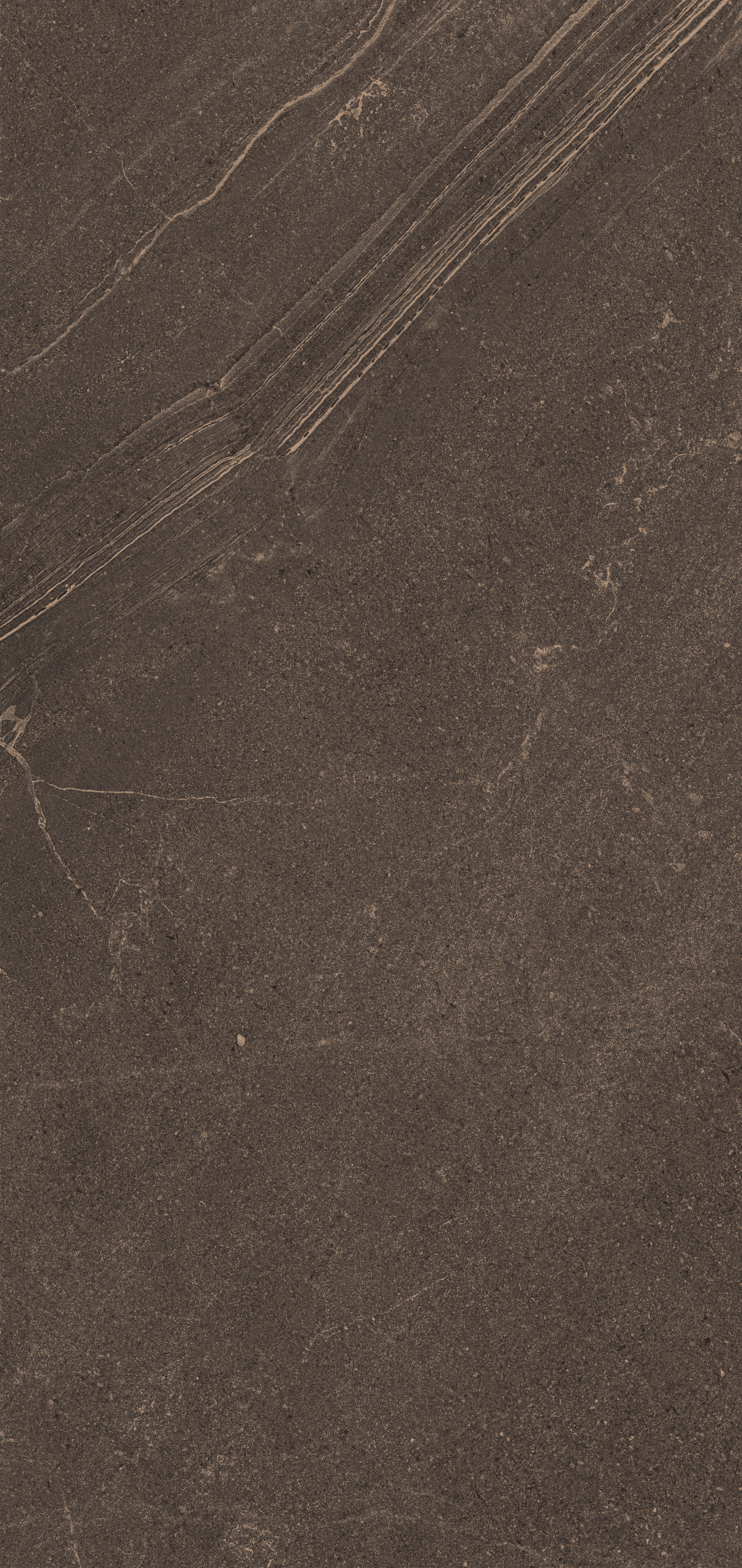 Плитка из керамогранита gb04 80x160x10 непол.рект. (керамический гранит)