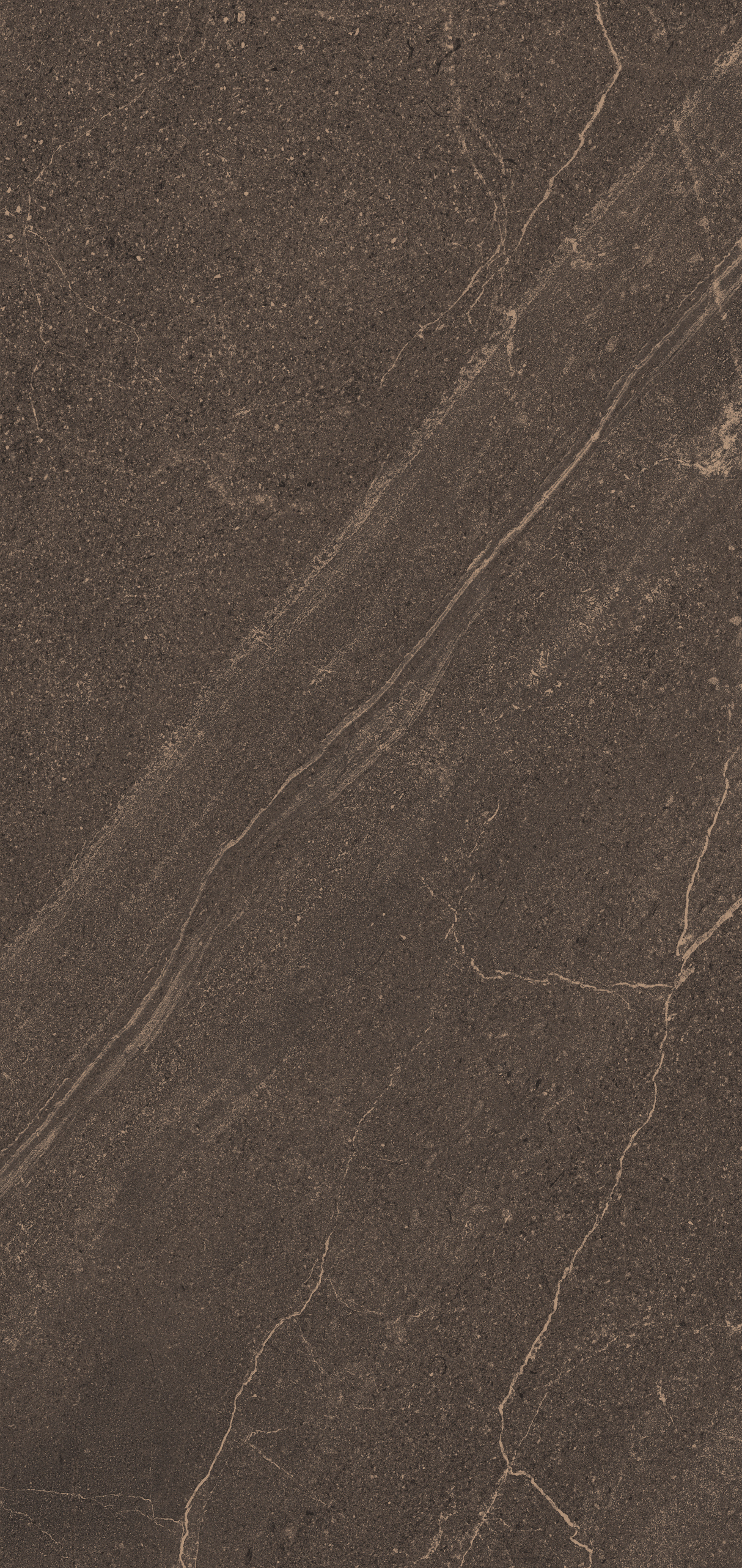 Плитка из керамогранита gb04 80x160x10 непол.рект. (керамический гранит)