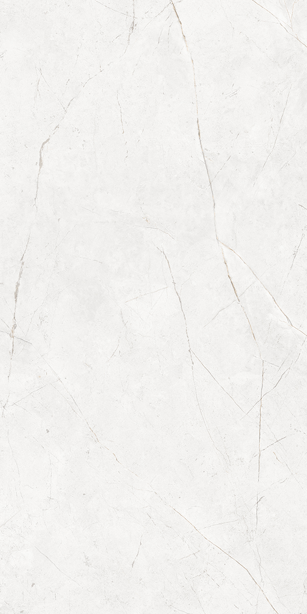 Плитка из керамогранита nl00 80x160x10 непол.рект. (керамический гранит)