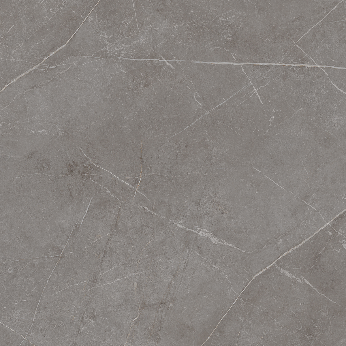 Плитка из керамогранита nl03 60x60x10 непол.рект. (керамический гранит)