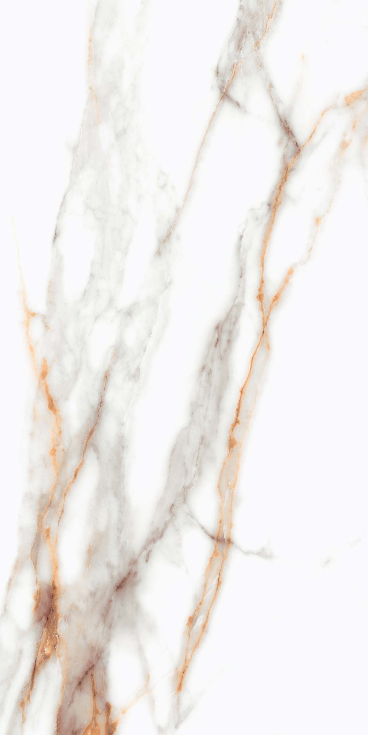 Плитка из керамогранита sm03 80x160x10 непол.рект. (керамический гранит)