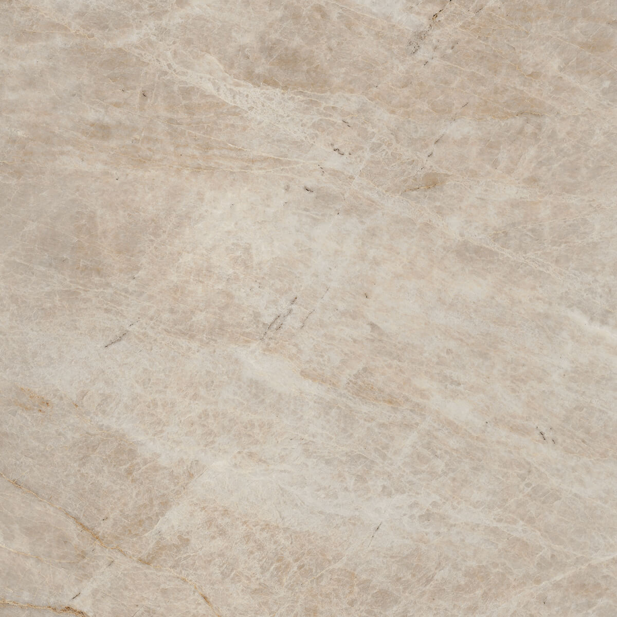 Плитка из керамогранита mo08 40,5x40,5x8 непол. (керамический гранит) (43,296 м2)