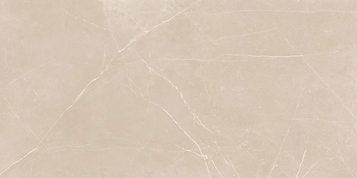 Плитка из керамогранита nl01 60x120x10 непол.рект. (керамический гранит)