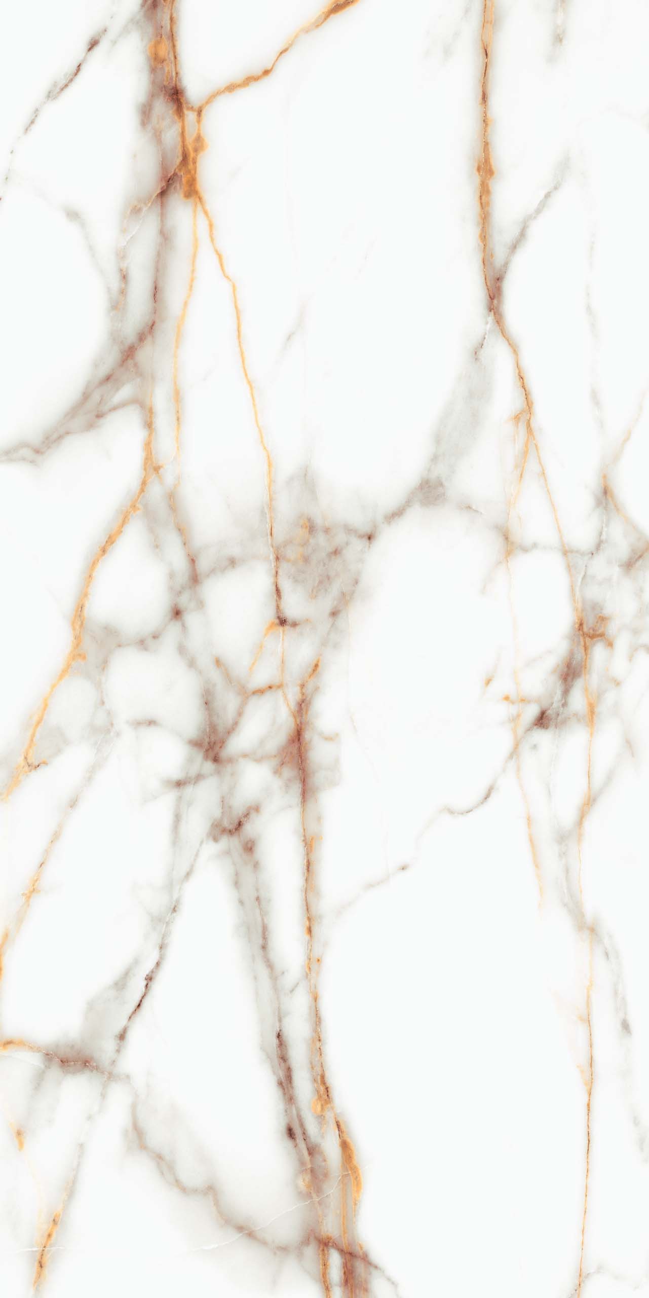 Плитка из керамогранита sm03 80x160x10 непол.рект. (керамический гранит)