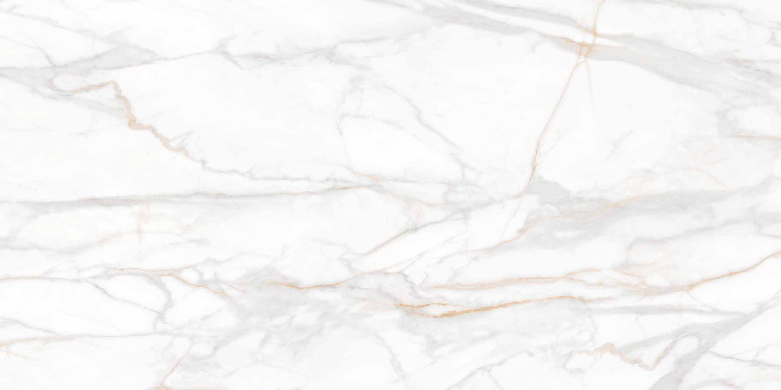 Плитка из керамогранита sm02 80x160x11 непол.рект. (керамический гранит)