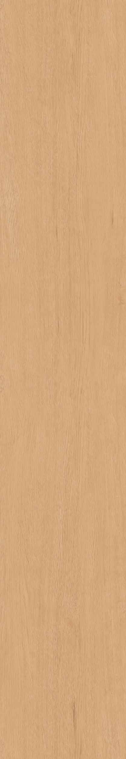 Плитка из керамогранита cw04 19,4х120х9 непол.рект. (керамический гранит)