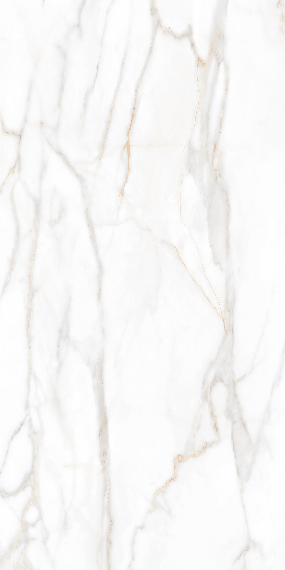 Плитка из керамогранита sm02 60x120x9 непол.рект. (керамический гранит)