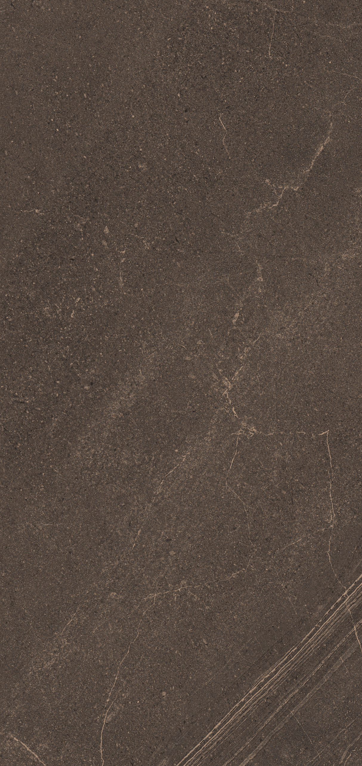 Плитка из керамогранита gb04 80x160x10 непол.рект. (керамический гранит)