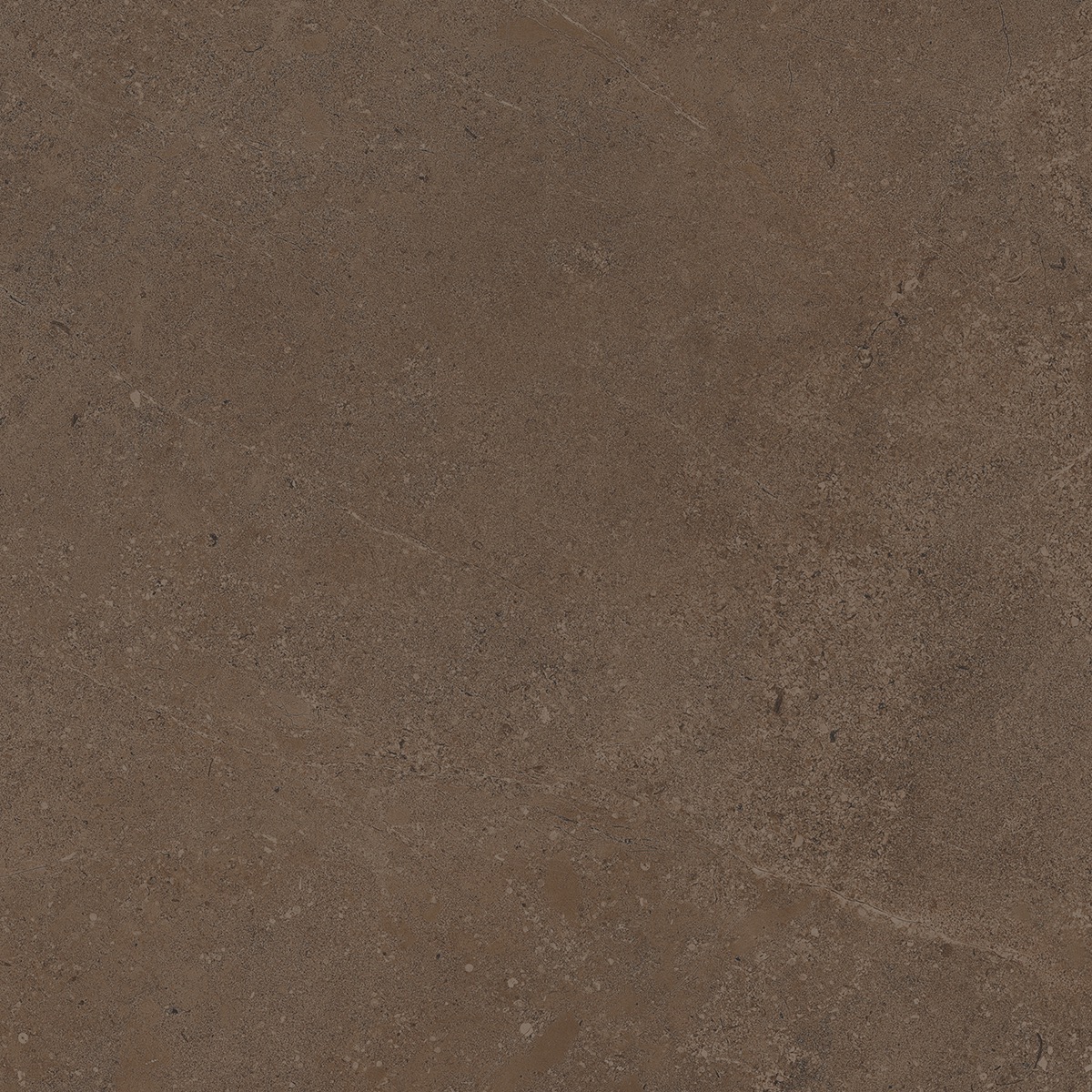 Плитка из керамогранита go03 60x60 непол.рект. (керамический гранит)