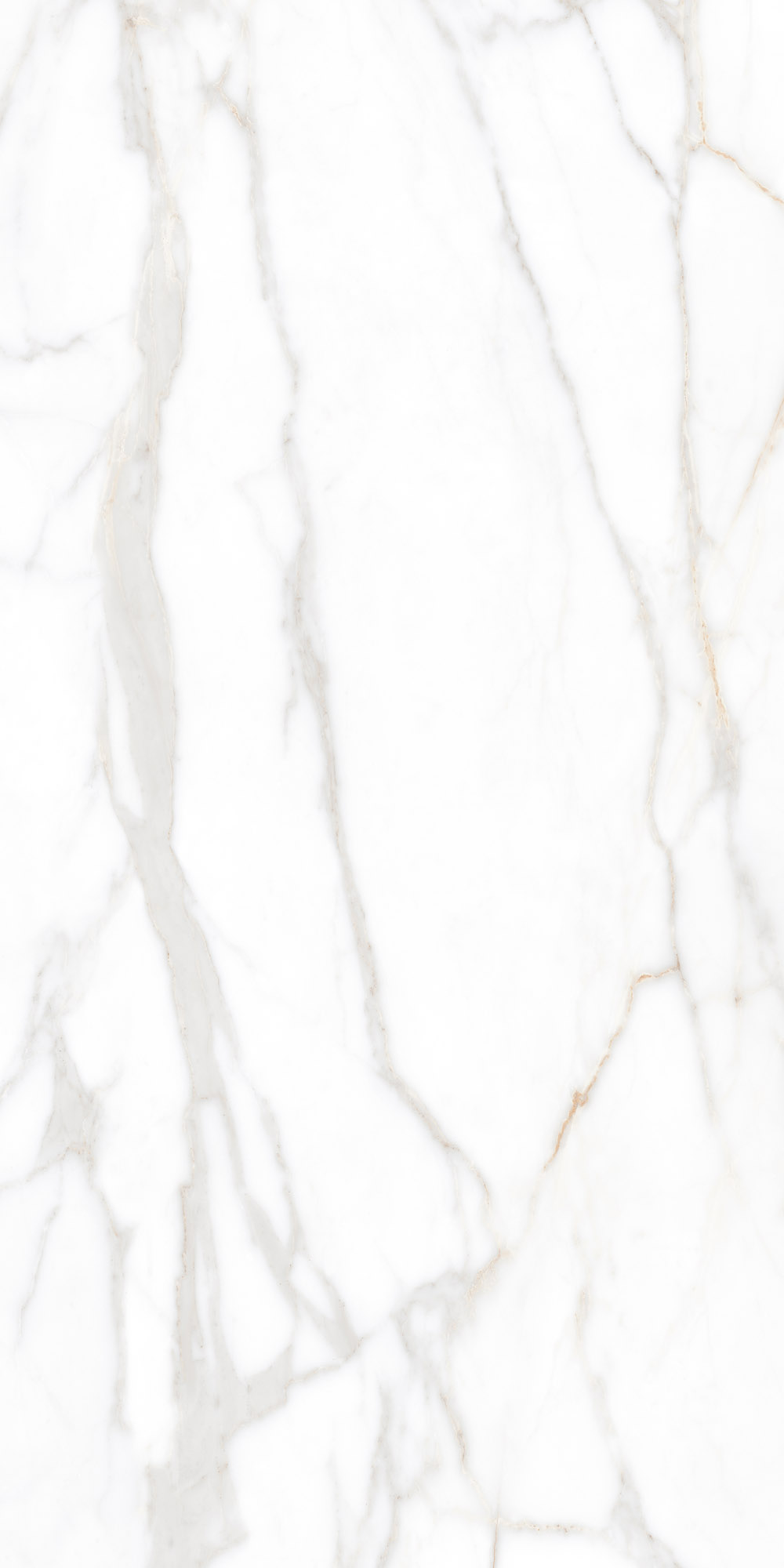 Плитка из керамогранита sm02 60x120x9 непол.рект. (керамический гранит)