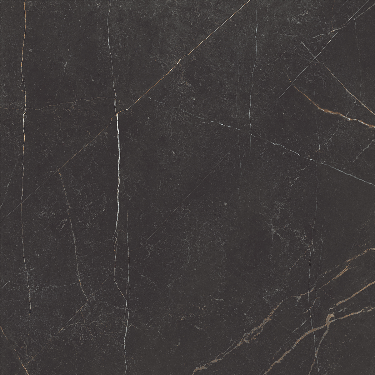 Плитка из керамогранита nl04 60x60x10 непол.рект. (керамический гранит)