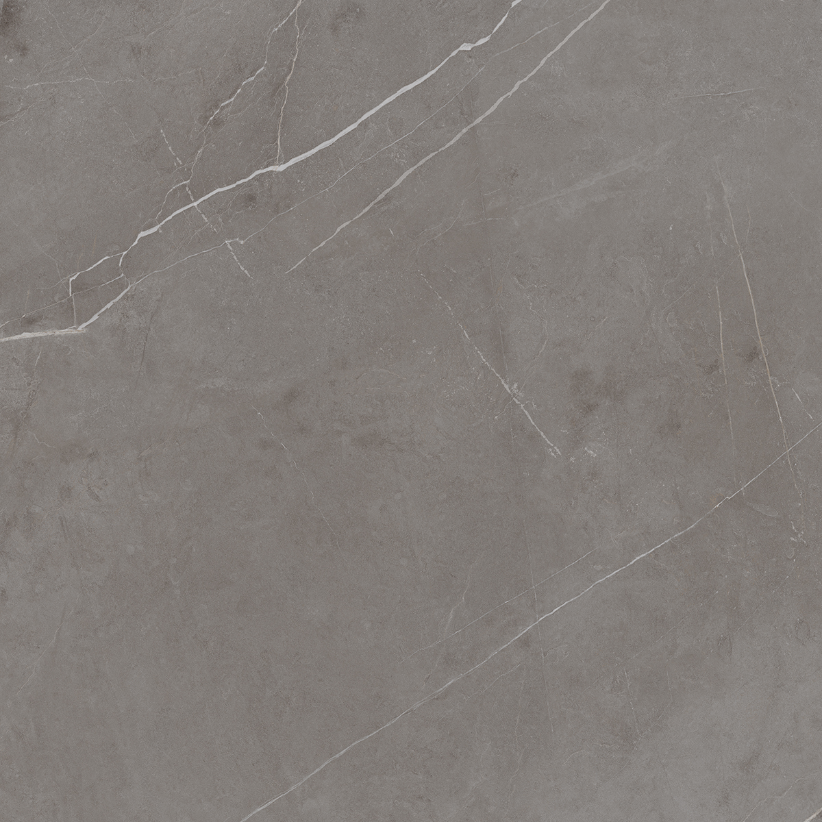 Плитка из керамогранита nl03 60x60x10 непол.рект. (керамический гранит)