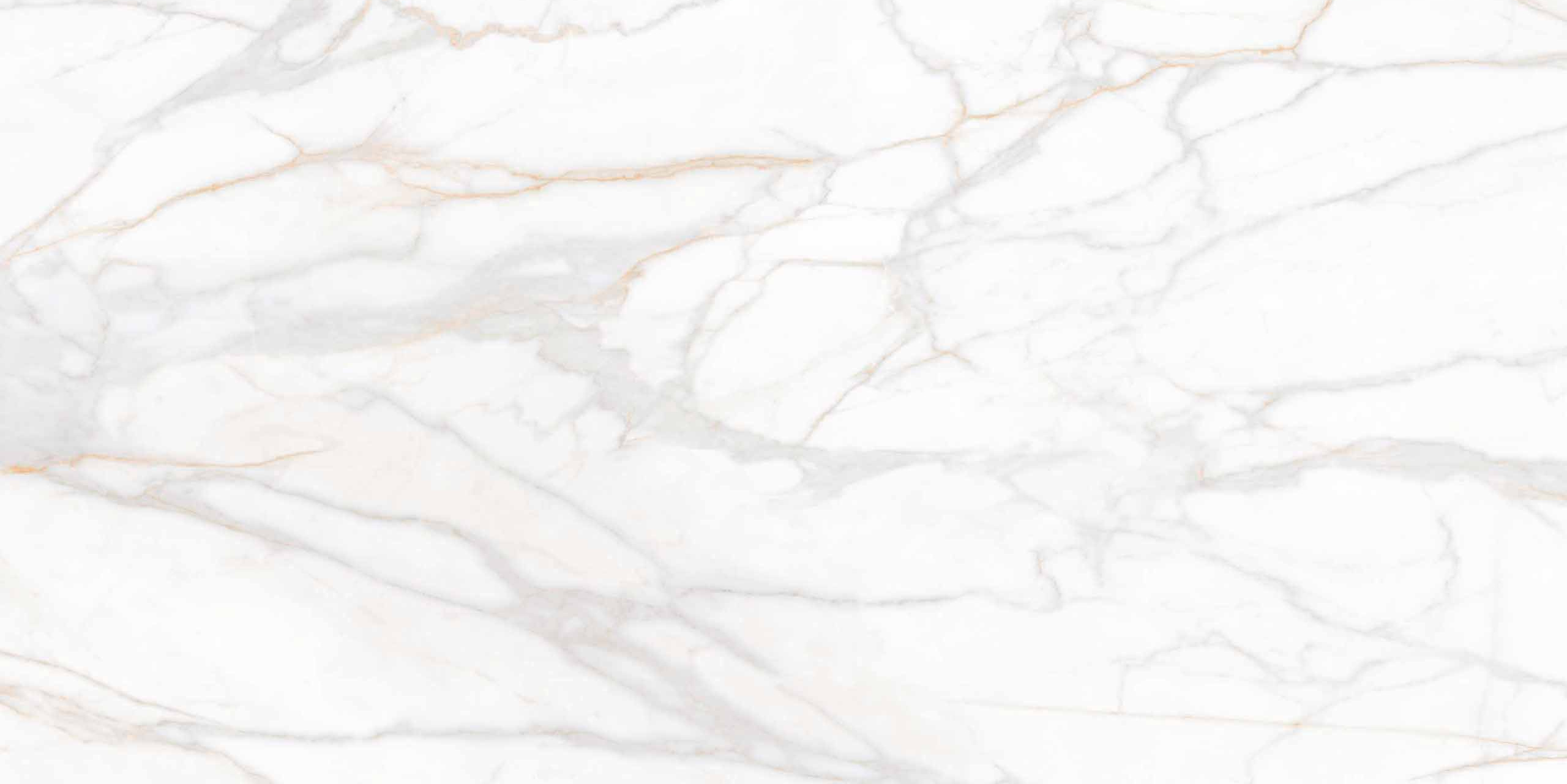 Плитка из керамогранита sm02 80x160x11 непол.рект. (керамический гранит)