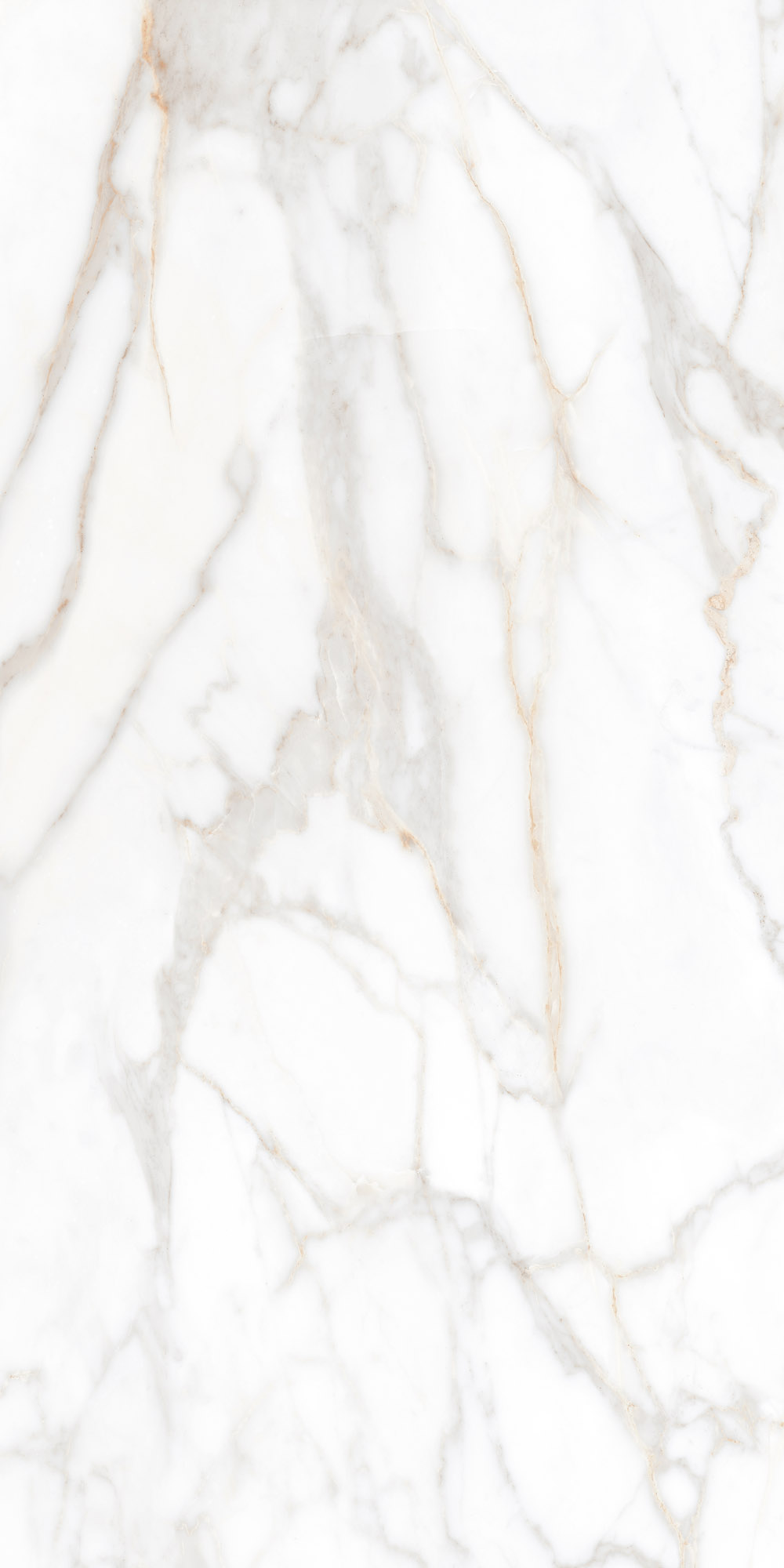 Плитка из керамогранита sm02 60x120x9 непол.рект. (керамический гранит)