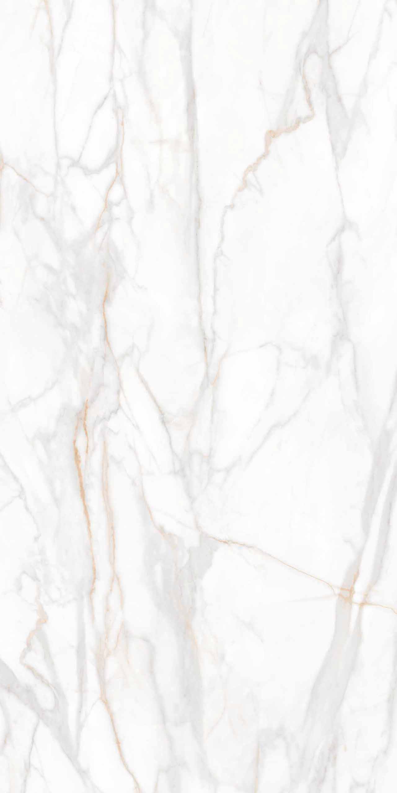 Плитка из керамогранита sm02 80x160x10 непол.рект. (керамический гранит)