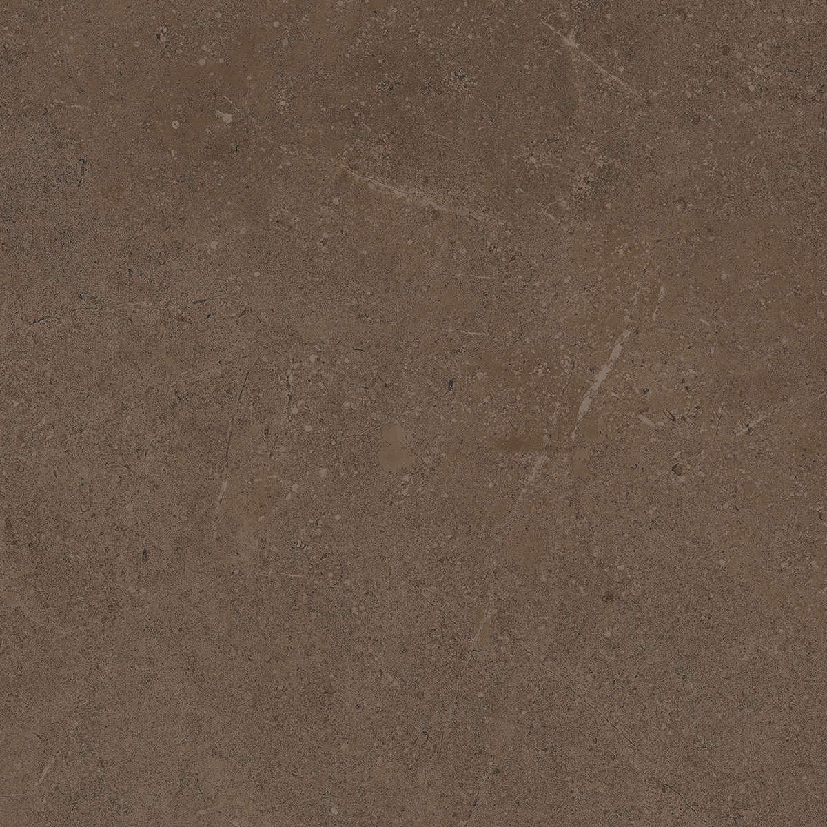 Плитка из керамогранита go03 60x60 непол.рект. (керамический гранит)