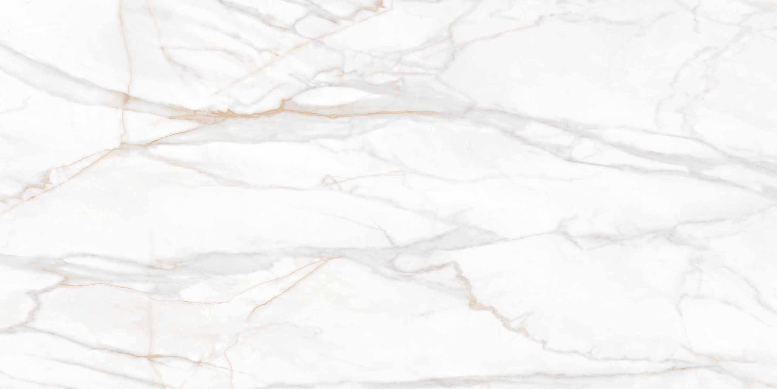 Плитка из керамогранита sm02 80x160x11 непол.рект. (керамический гранит)