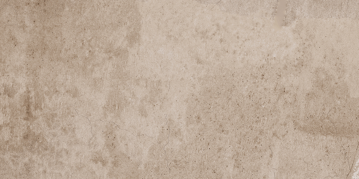 Плитка из керамогранита ee02 30,6x60,9x8 непол. (керамический гранит)