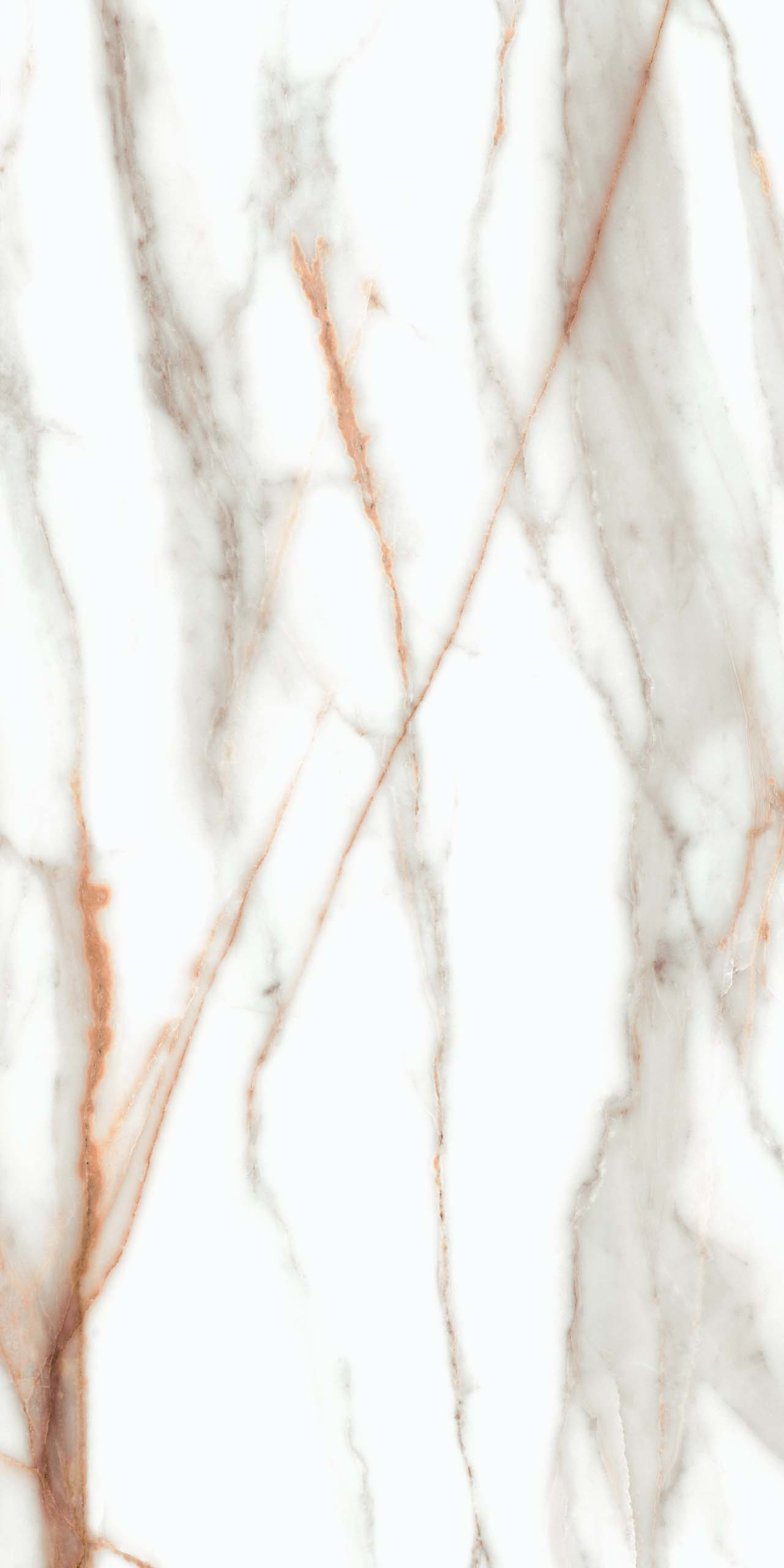 Плитка из керамогранита sm03 80x160x10 непол.рект. (керамический гранит)