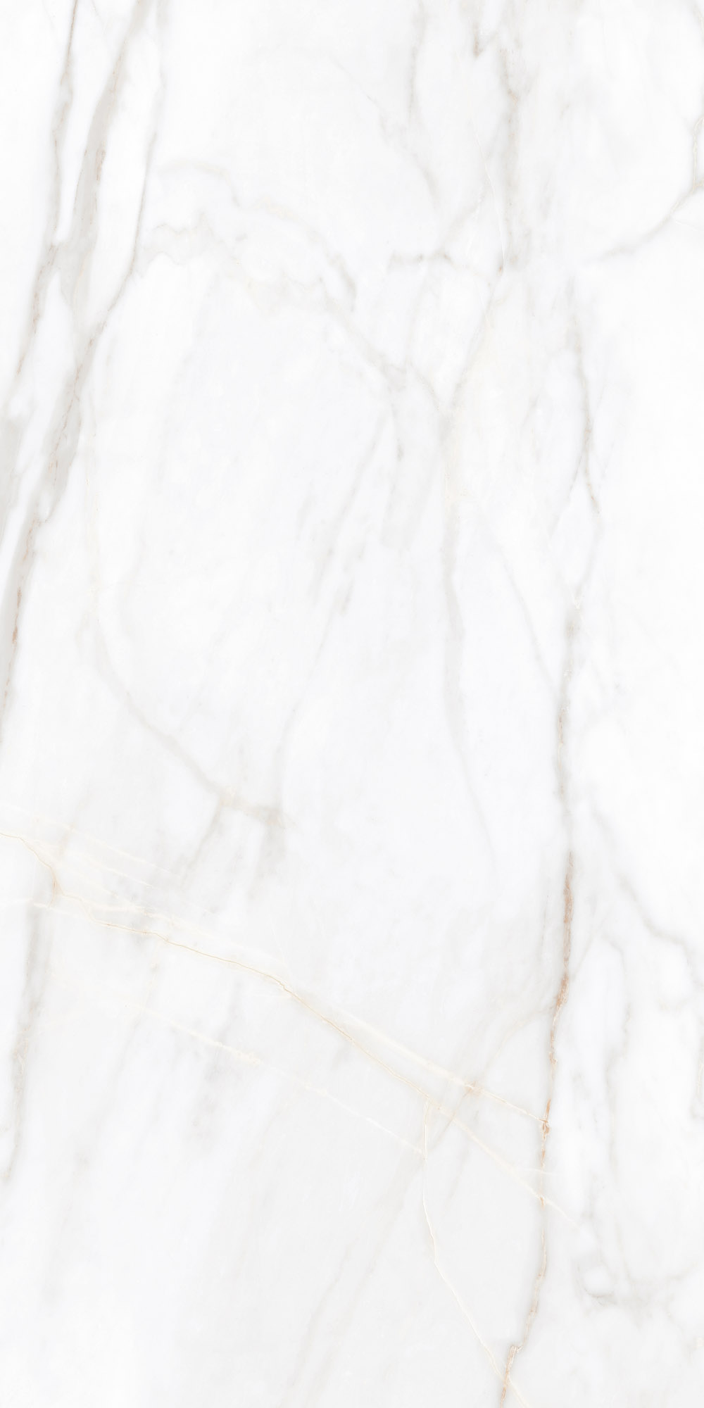 Плитка из керамогранита sm02 60x120x9 непол.рект. (керамический гранит)