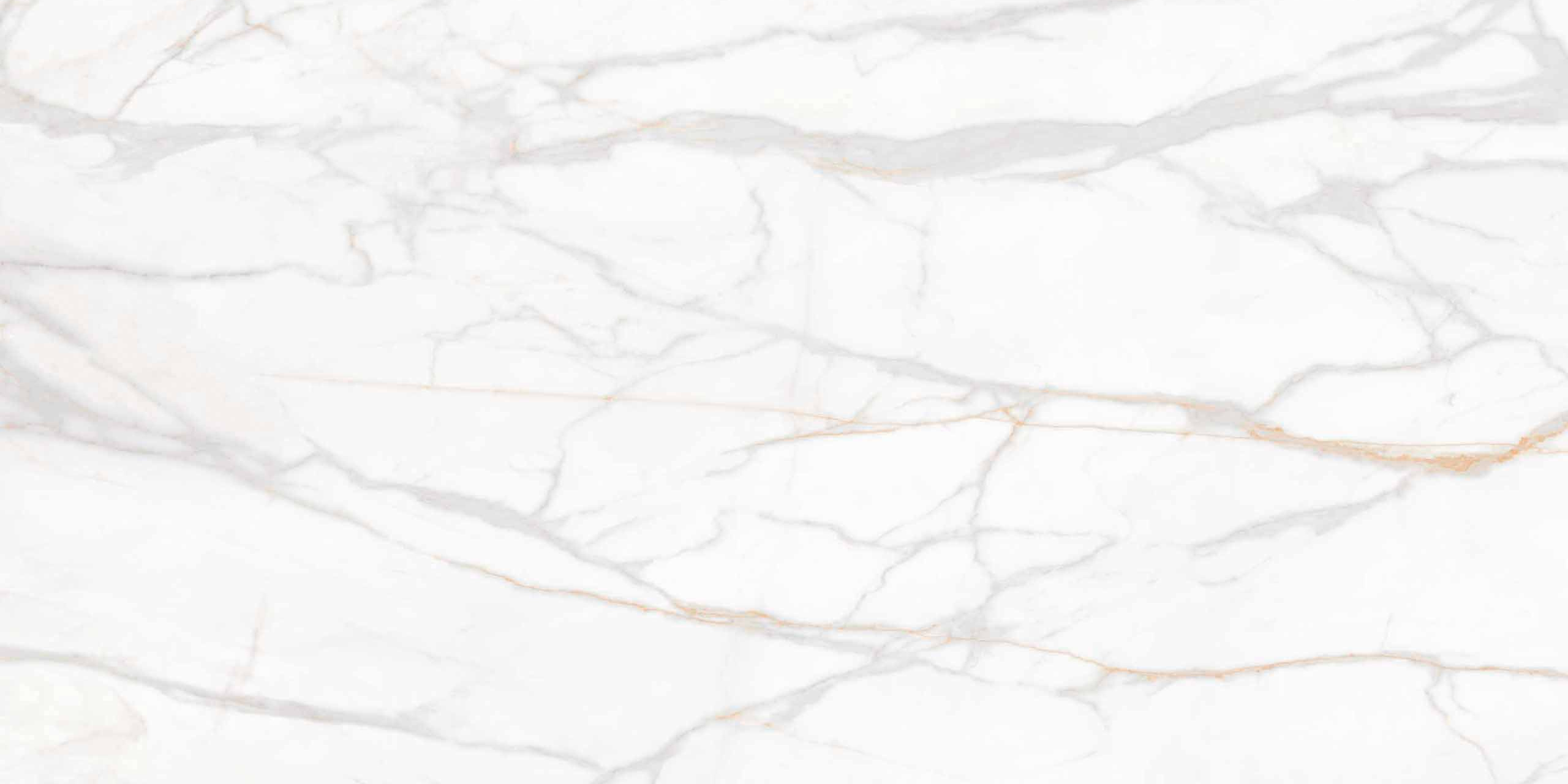 Плитка из керамогранита sm02 80x160x11 непол.рект. (керамический гранит)