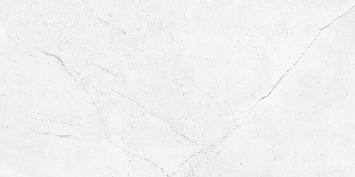 Плитка из керамогранита nl00 60x120x10 непол.рект. (керамический гранит)