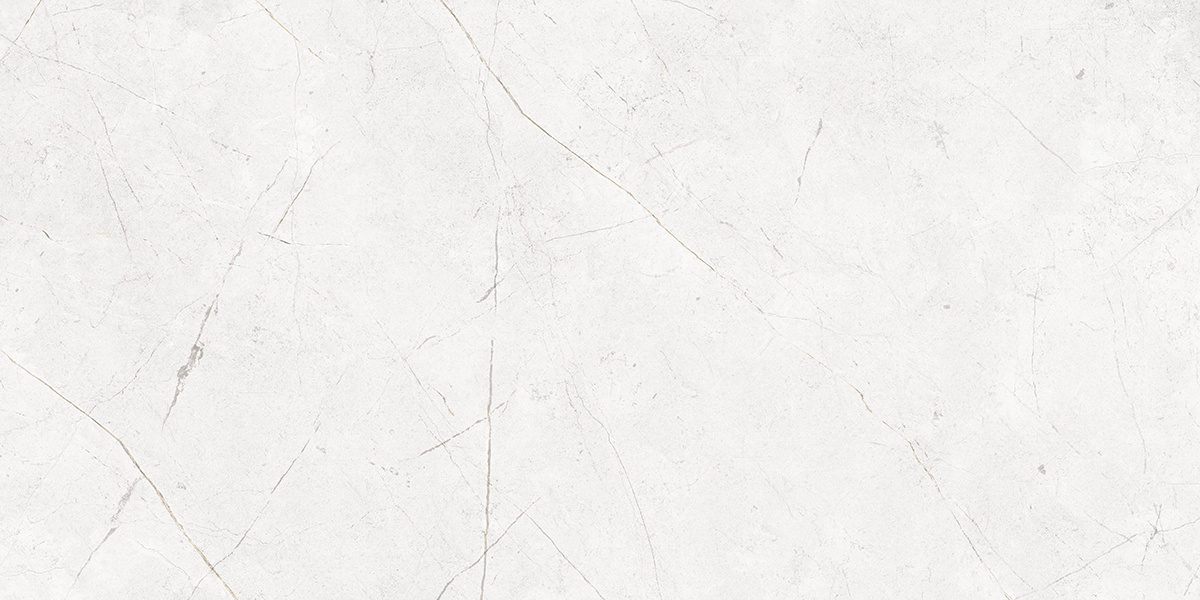 Плитка из керамогранита nl00 60x120x10 непол.рект. (керамический гранит)