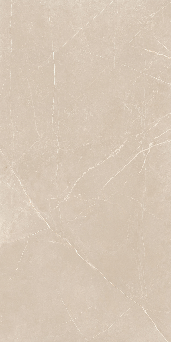 Плитка из керамогранита nl01 60x120x9 полир. (керамический гранит)