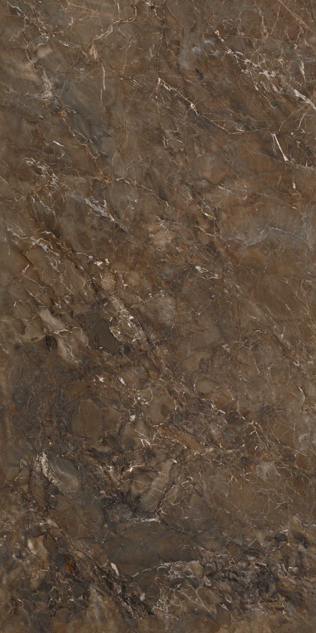 Плитка из керамогранита br04 60x120x9 непол.рект. (керамический гранит)