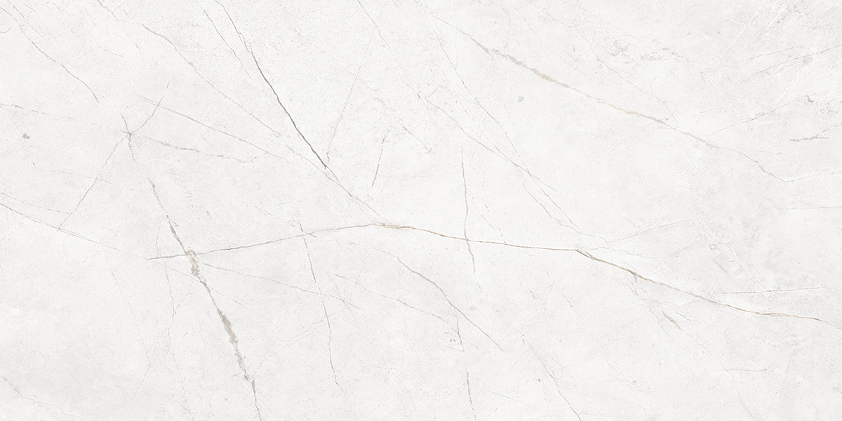 Плитка из керамогранита nl00 60x120x10 непол.рект. (керамический гранит)