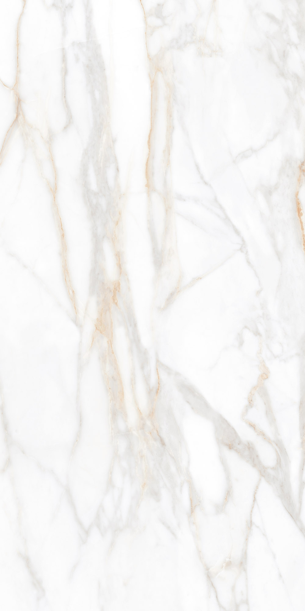 Плитка из керамогранита sm02 60x120x9 непол.рект. (керамический гранит)