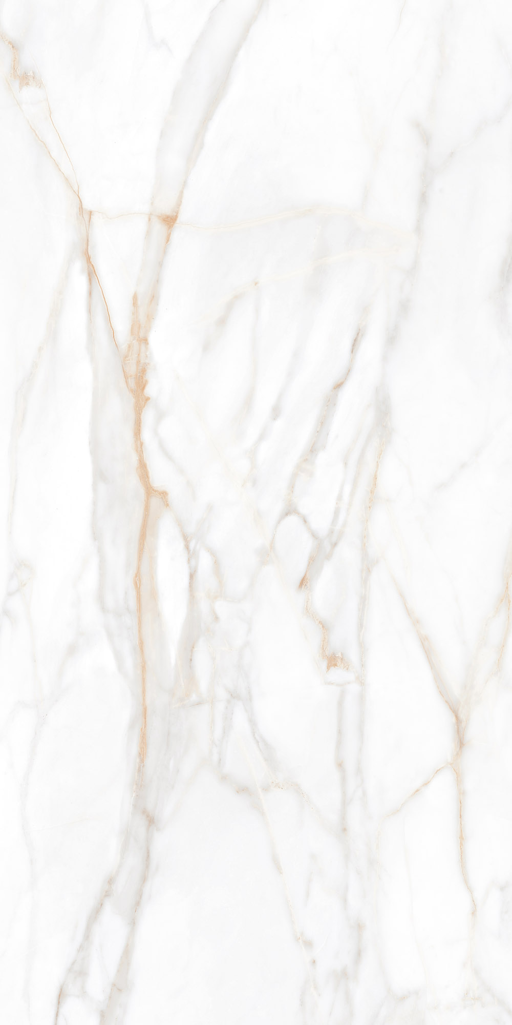 Плитка из керамогранита sm02 60x120x9 непол.рект. (керамический гранит)