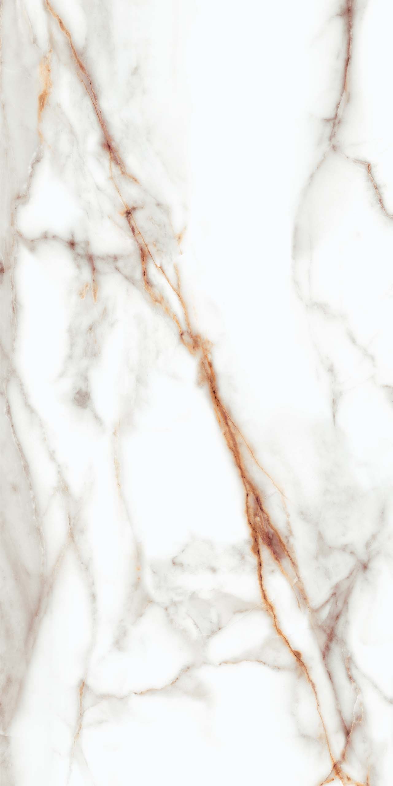 Плитка из керамогранита sm03 80x160x10 непол.рект. (керамический гранит)