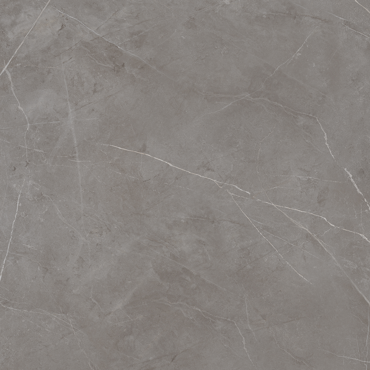 Плитка из керамогранита nl03 60x60x10 непол.рект. (керамический гранит)